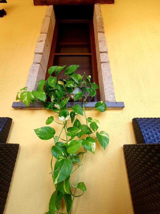 Palmas Anna'S Rooms Is Procilis Palmas Arborea Zewnętrze zdjęcie